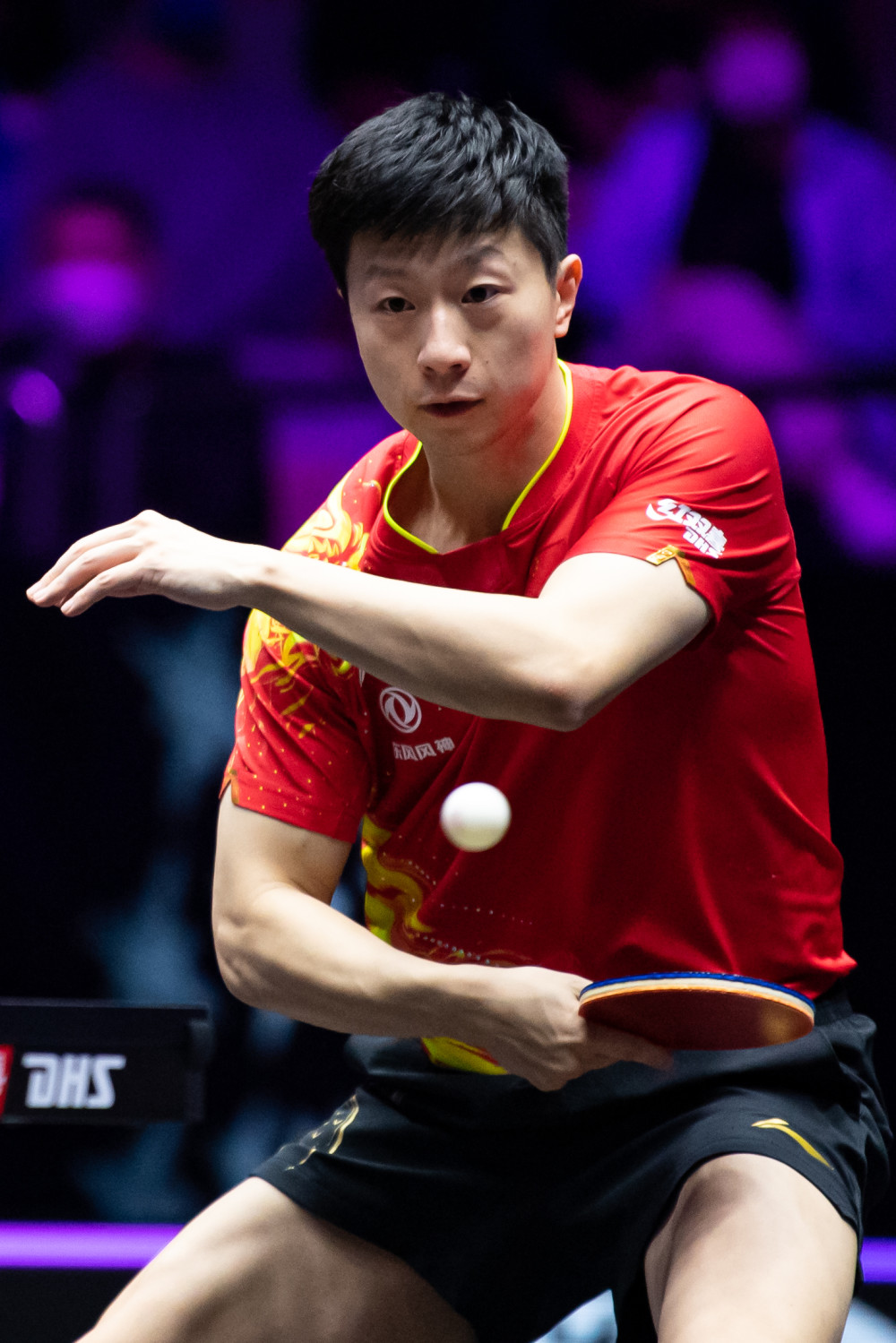 争力的正面 争力的正面